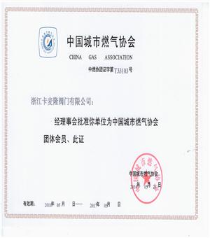中國城市燃氣協(xié)會.jpg